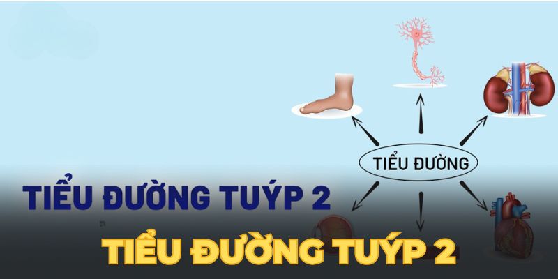 Tiểu Đường Tuýp 2 - Sự Nguy Hiểm Và Cách Phòng Chữa Hiệu Quả